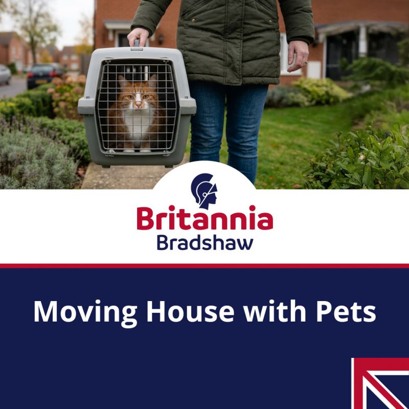 Moving-house-with-pets-tips-for-success-from-Britannia-Bradshaw.jpg