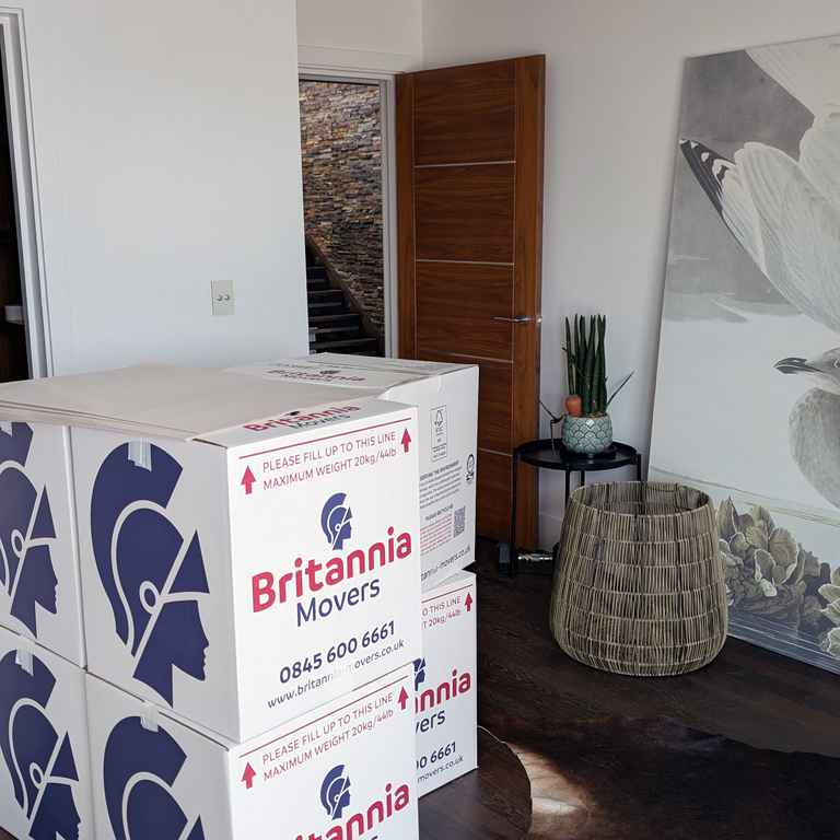 Trusted Expert Packing Service for House Moves specialists